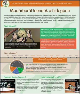 Téli madárbarát teendők