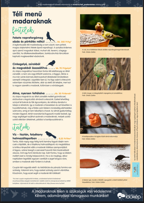 Téli menü madaraknak