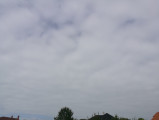 Balatonaliga