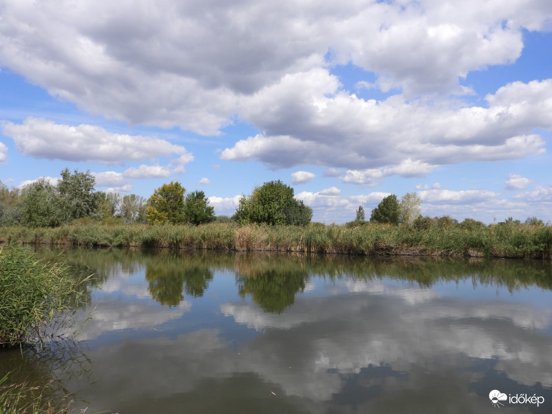 Kiskunsági főcsatorna egy részlete.