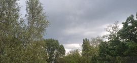 Kiskunhalas
