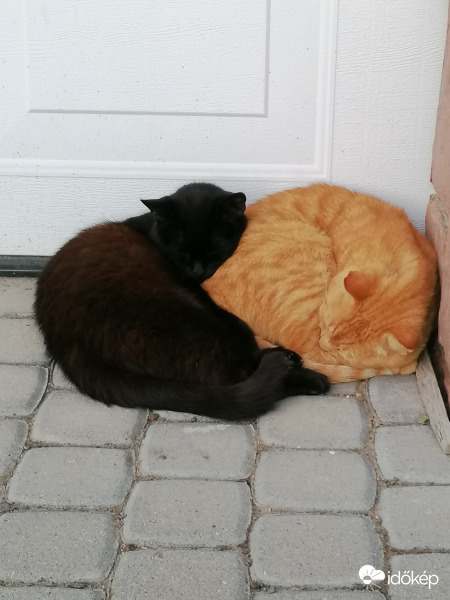 Legjobb összebújva 