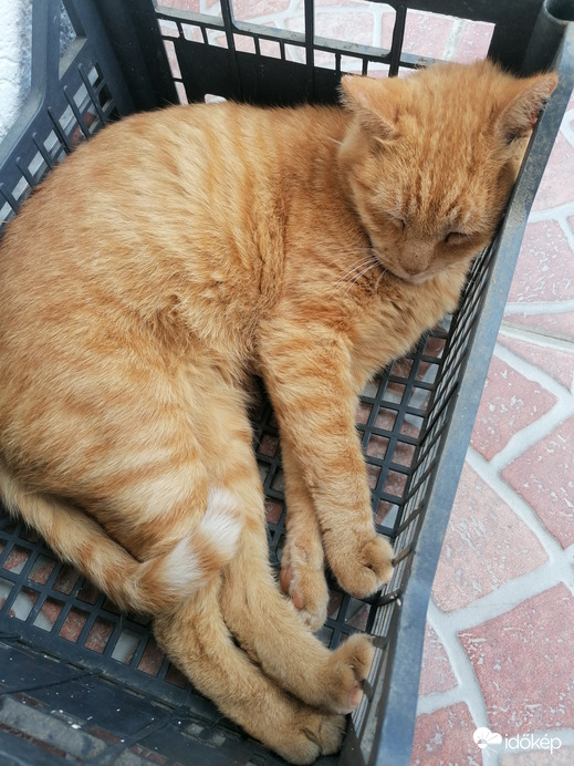 Nincs is ettől jobb hely 1 kis szunyókálásra