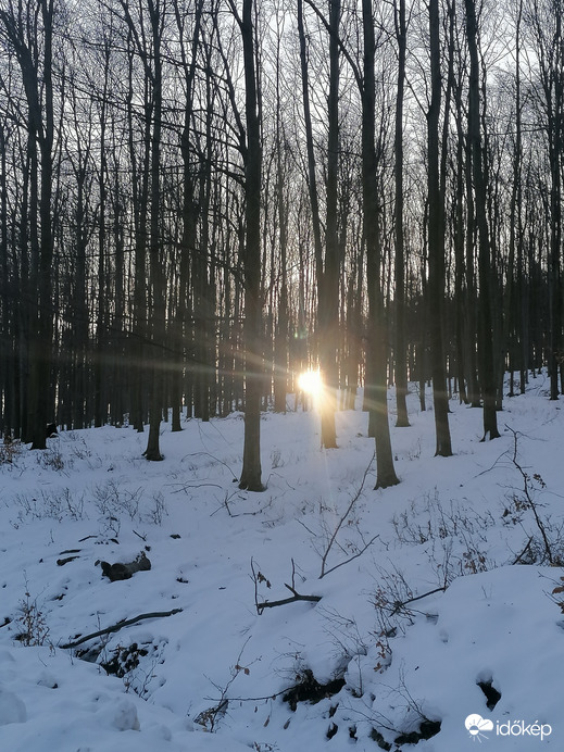 Napkelte az erdőben 