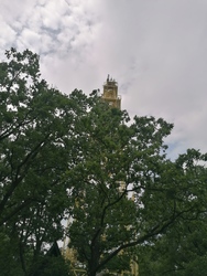 Sástó