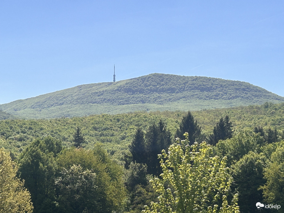 Kizöldülve