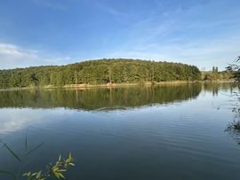 Búzásvōlgyi séta II.