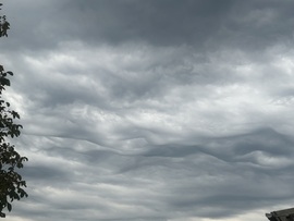 Délutáni hullámok II.