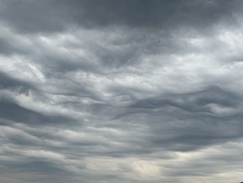 Délutáni hullámok III.