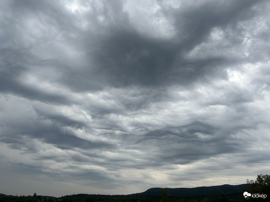 Délutáni hullámok I.