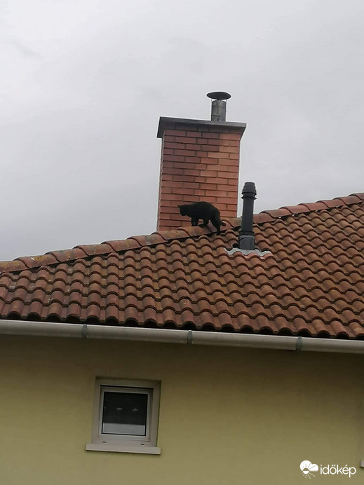 Kéménytisztítást vállalok, a színe már megvan hozzá. 