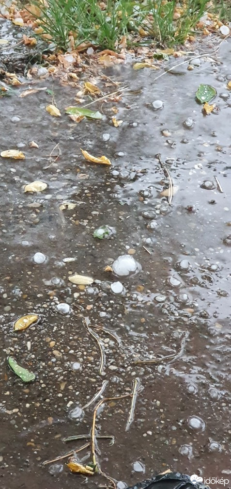 Kiskunfélegyháza