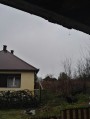 Nyírpilis