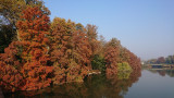 Szarvas