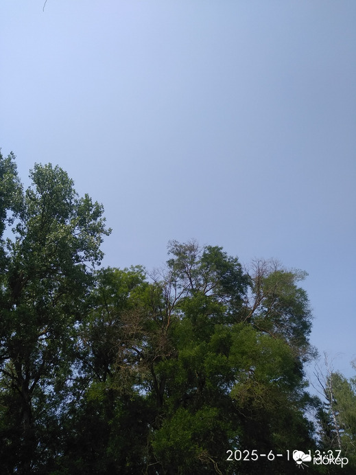 Sarkad
