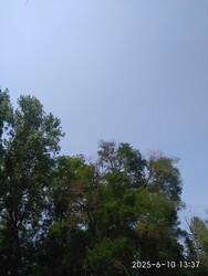 Sarkad