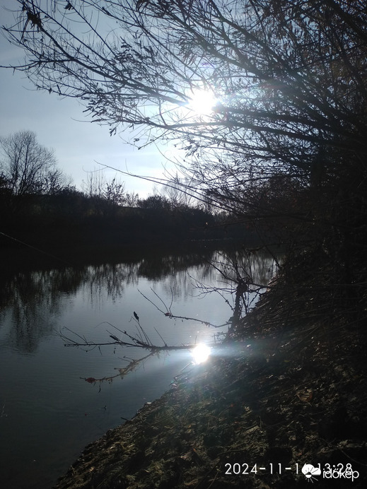 Sarkad