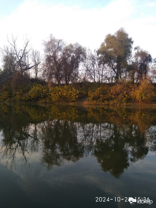 Sarkad
