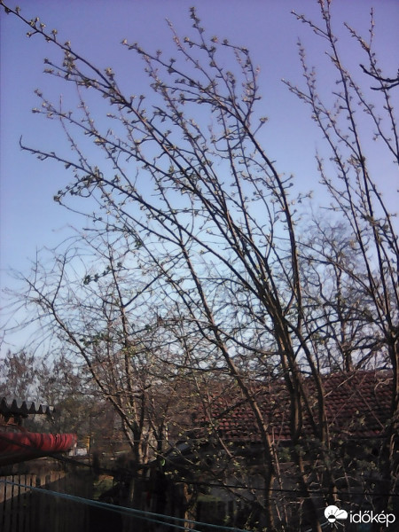 Hódmezővásárhely