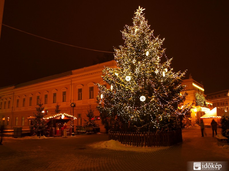 Nyíregyháza Fenyőfája
