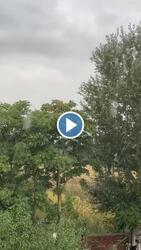 Beszterec