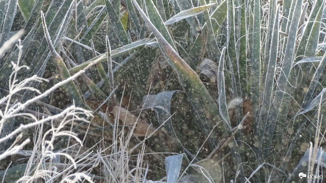 Gyémántporhullás.