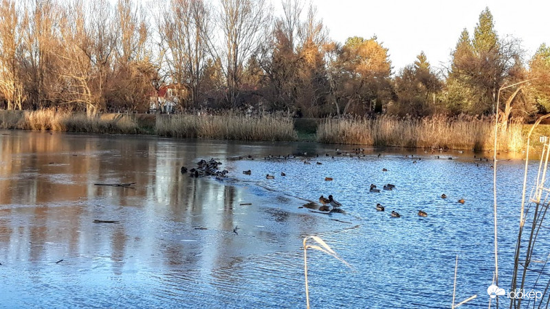Veresegyház.