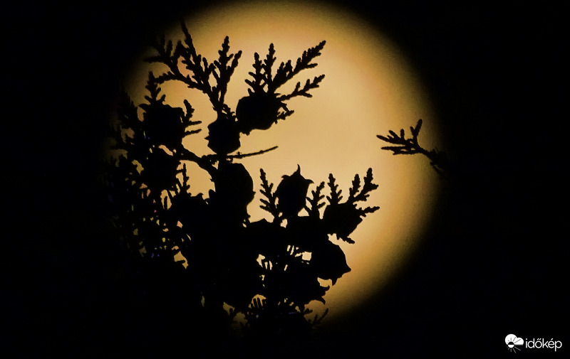 A keleti boszorkány és a Hold.