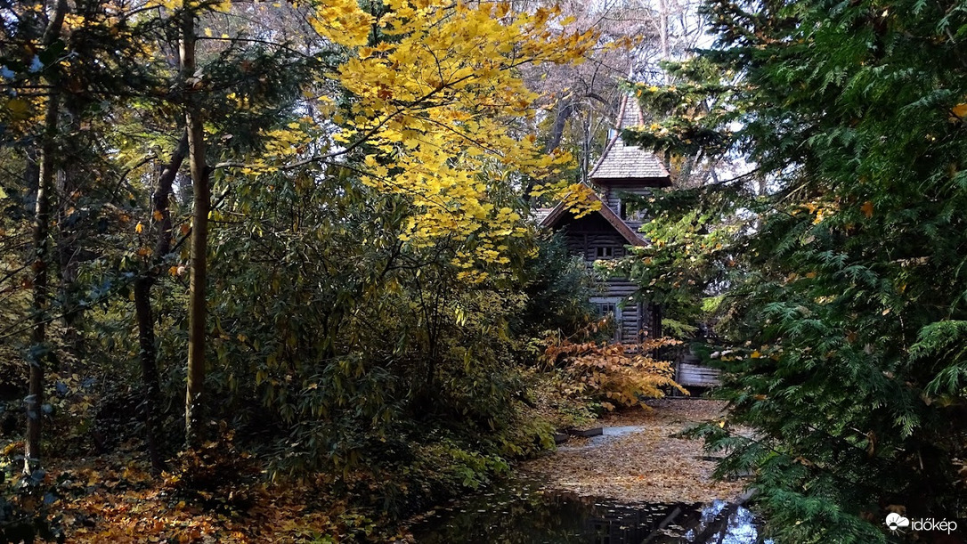 Vácrátóti Arborétum.