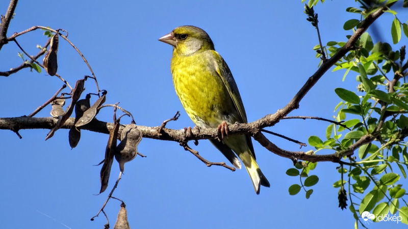 Ragyogó napsütésben.