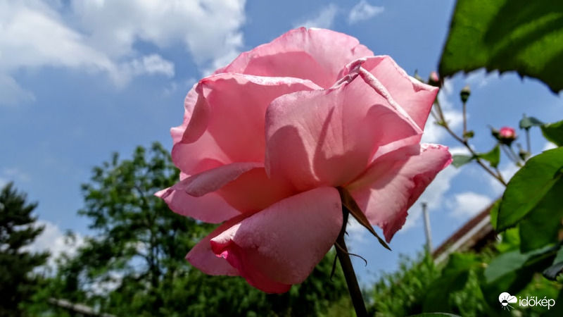 A határ a csillagos ég.