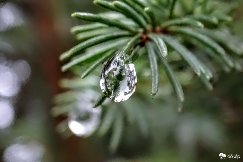 Karácsonyra díszített esőcsepp reggel.