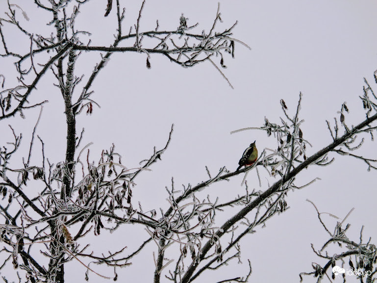 Meddig hullik még a hó?