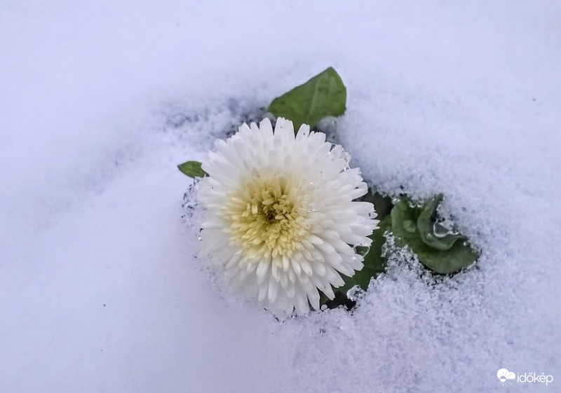 Két évvel ezelőtt.