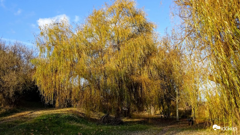Veresegyház.