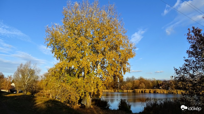 Veresegyház.