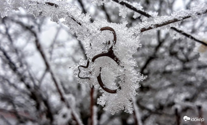 Téli nyaklánc medállal.