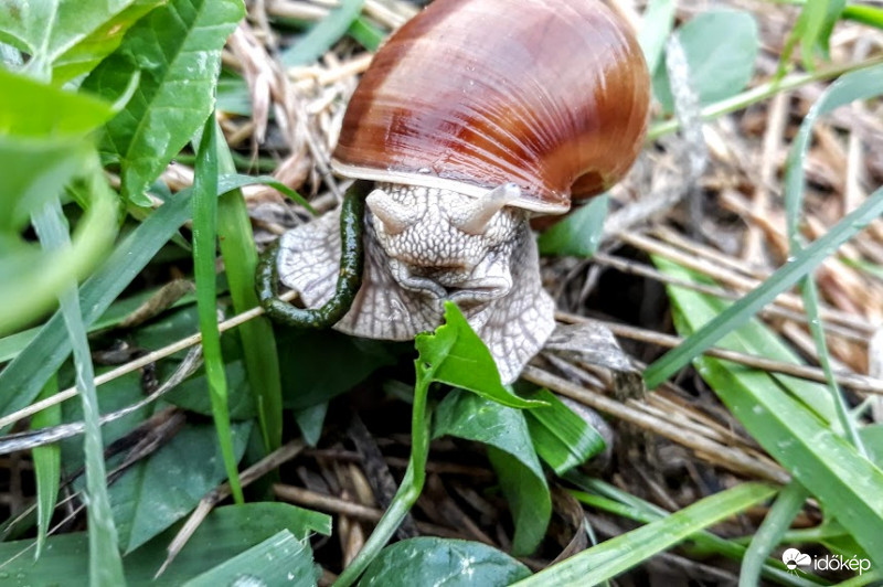 Hagyjál békén, vacsoráznék!