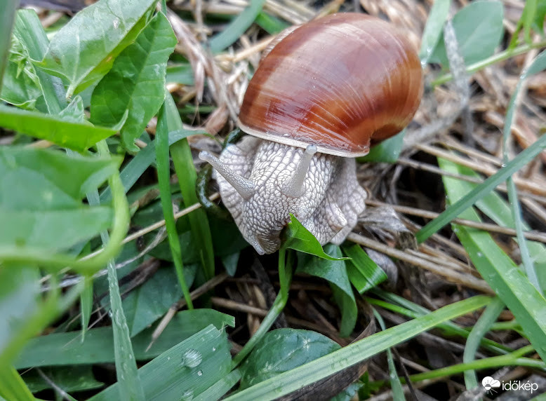Óhh, de finom ez a szulák!
