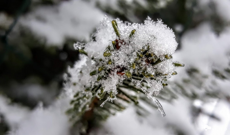 Hóesés után délelőtt.