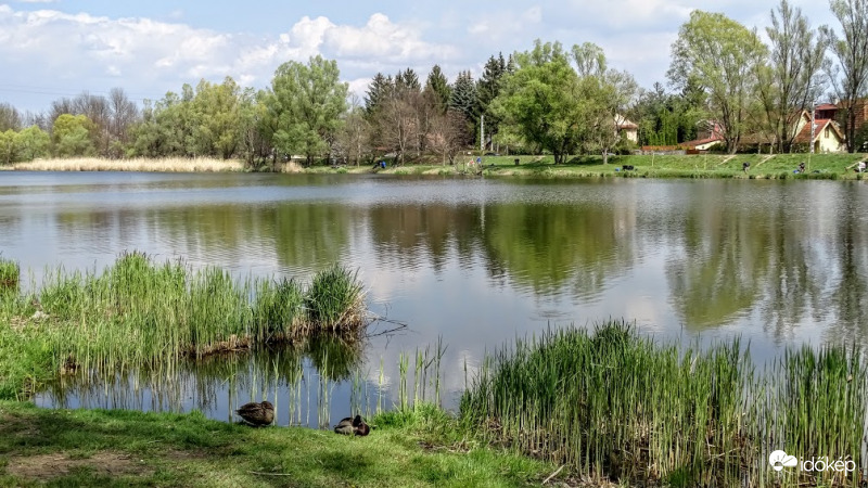 Veresegyház, Ivacsi-tó.
