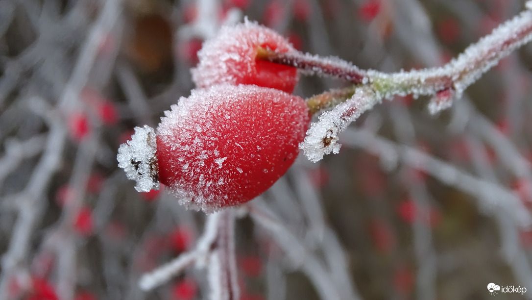 Ködben, zúzmarában.