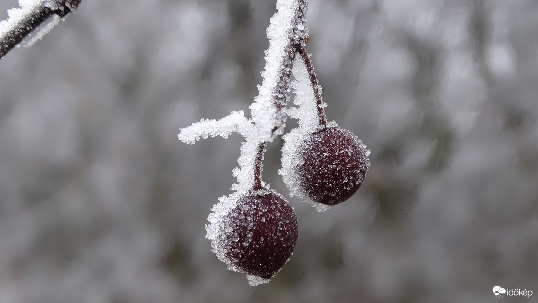 Ködben, zúzmarában.