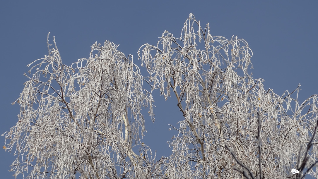 Élőben gyönyörű volt!