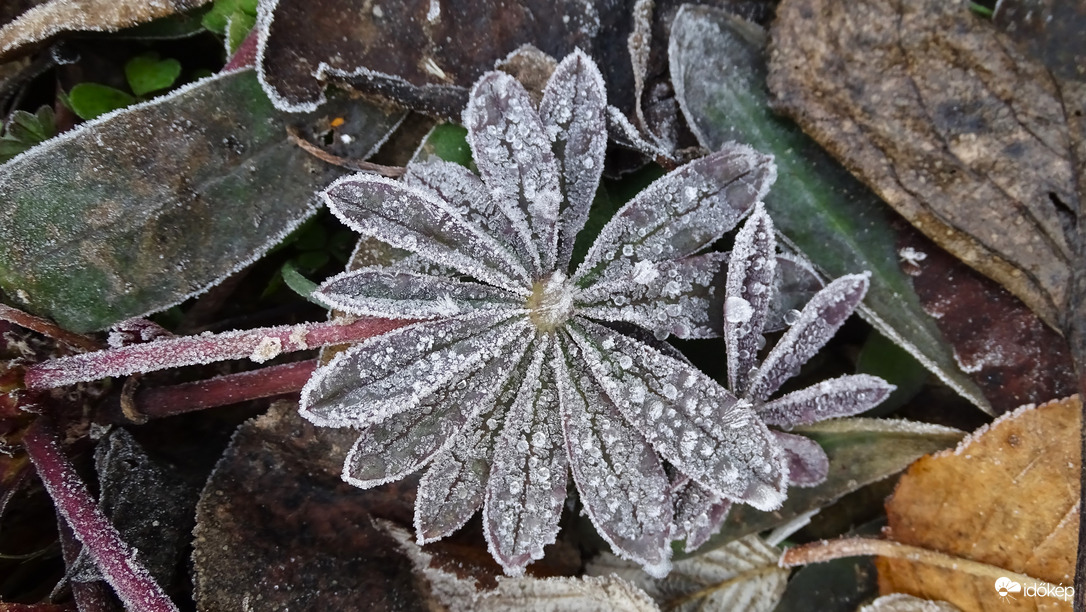 Télen-nyáron szép
