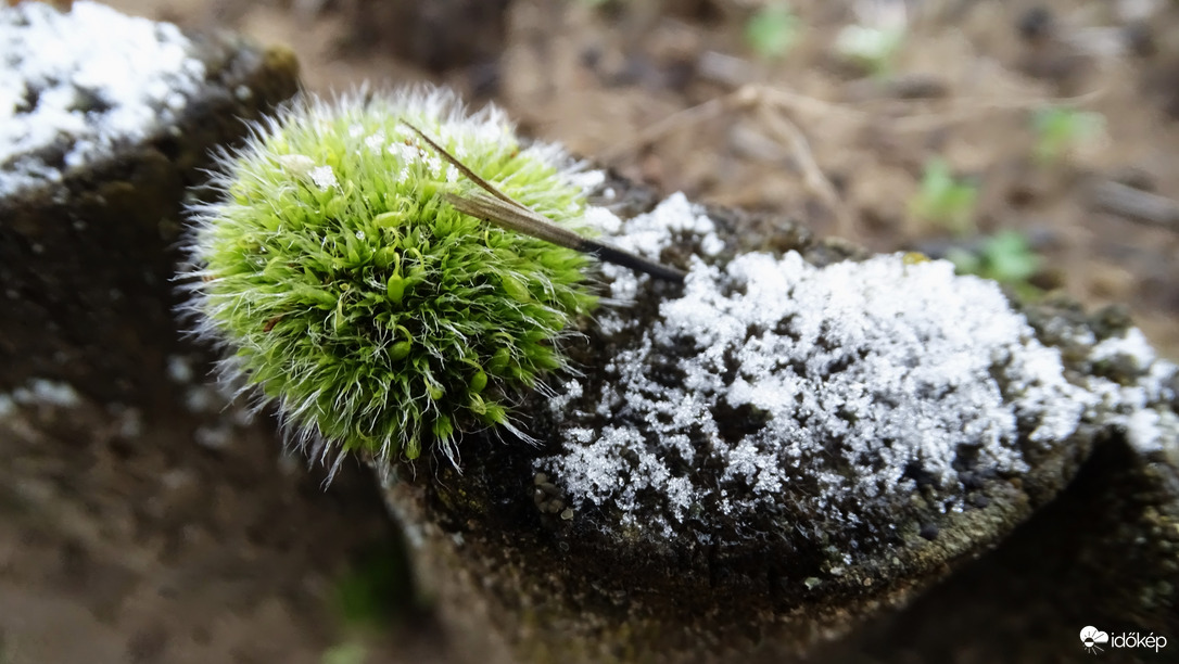 Esett egy kis hó és hódara az éjjel.
