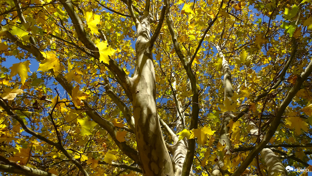 Veresegyház, Ivacsi-tó.