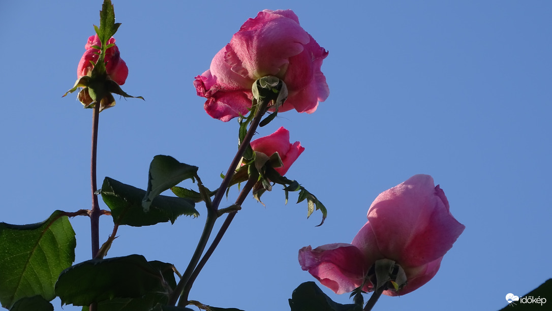 Nézz az ég felé...