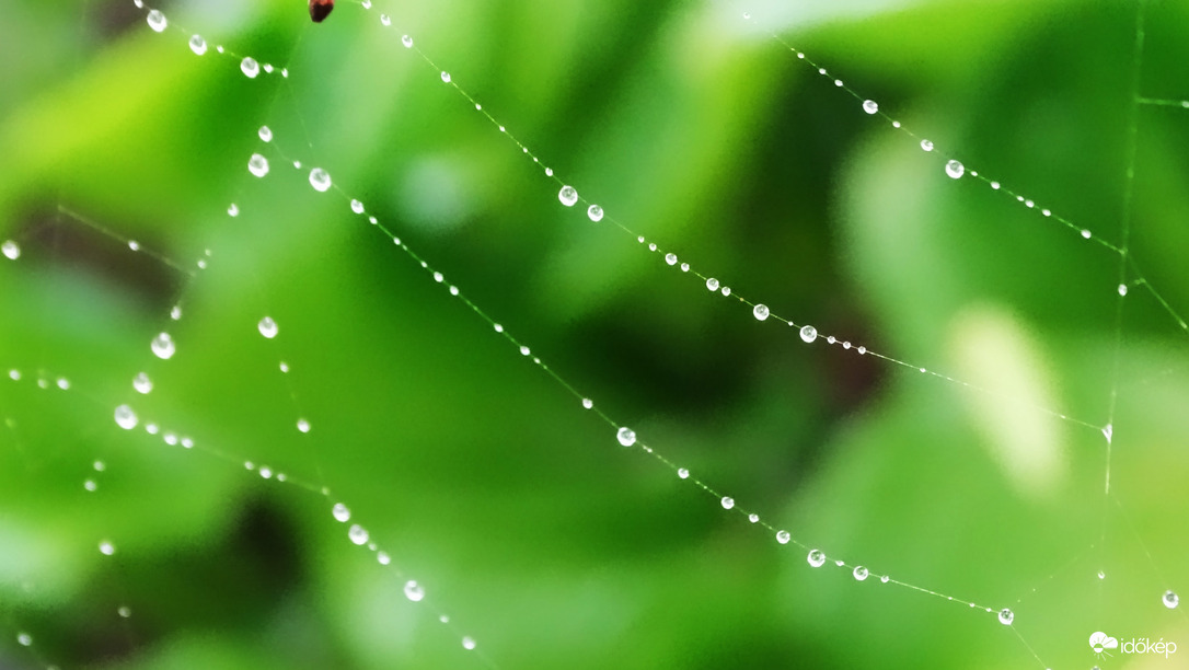 Pókháló van...