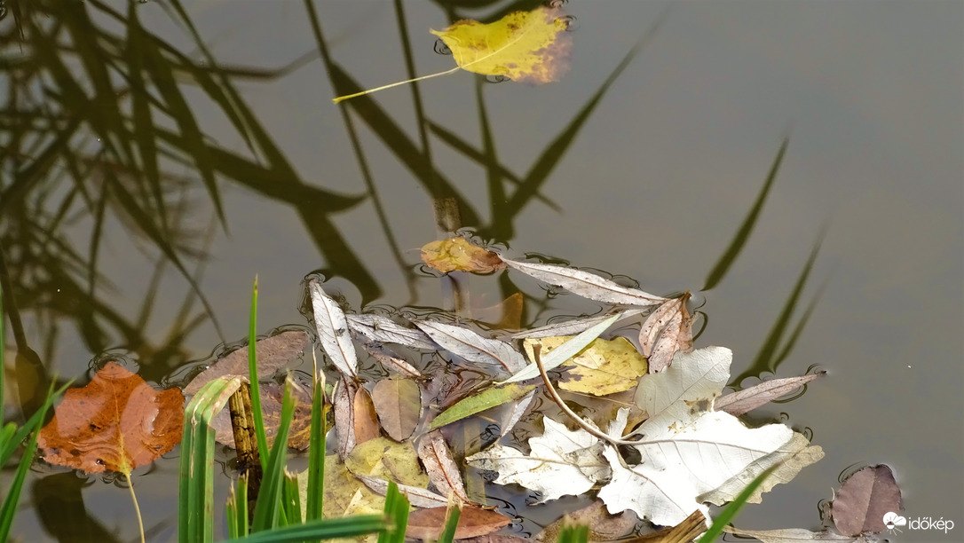 Válogatott levelek.